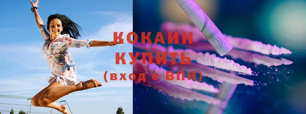 дживик Магас