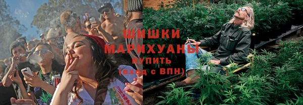 шишки Лихославль