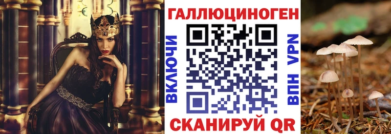 Псилоцибиновые грибы прущие грибы  Купить  Саранск 